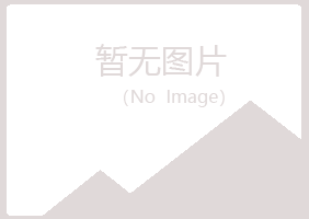 阳曲县蓝天建设有限公司